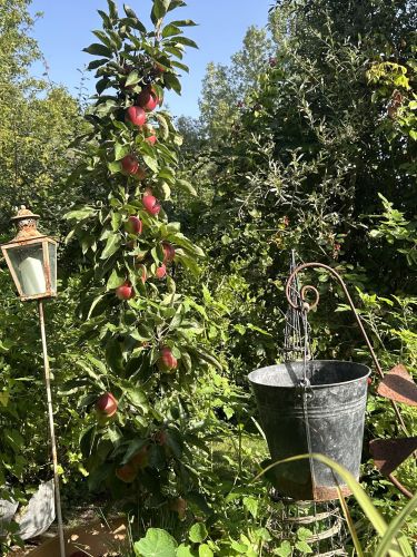 La Sauvagine Terre et Passion®