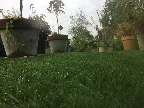 La Sauvagine Terre et Passion®