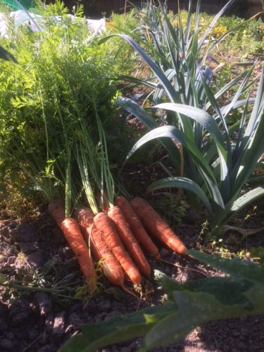 La Sauvagine Terre et Passion®