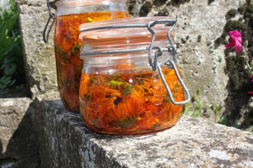 La Sauvagine Terre et Passion®