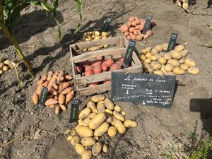 La Sauvagine Terre et Passion®