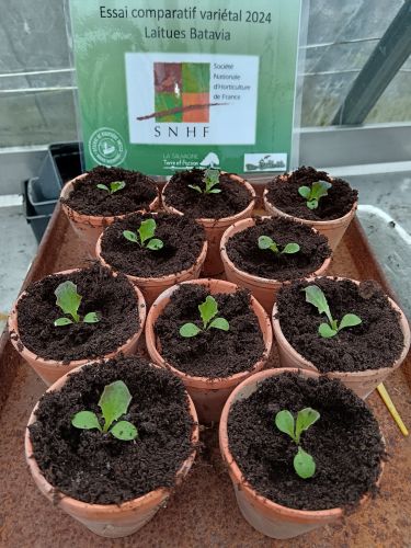 La Sauvagine Terre et Passion®