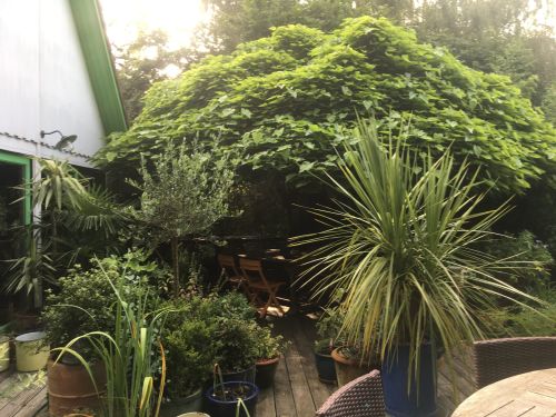 La Sauvagine Terre et Passion®