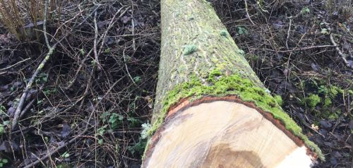 La Sauvagine Terre et Passion®