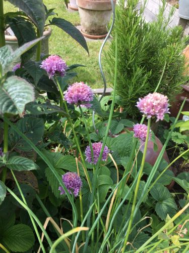 La Sauvagine Terre et Passion®