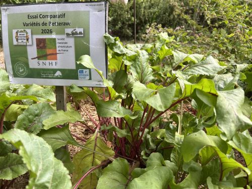 La Sauvagine Terre et Passion®