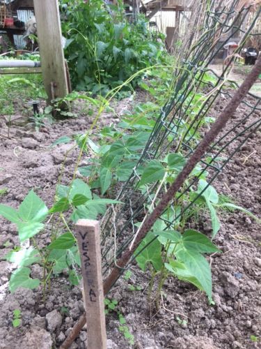 La Sauvagine Terre et Passion®