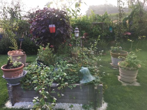 La Sauvagine Terre et Passion®