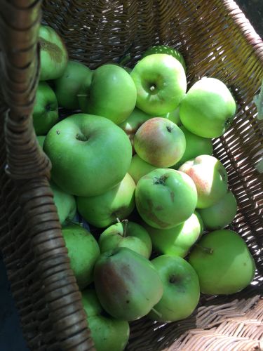 La Sauvagine Terre et Passion®