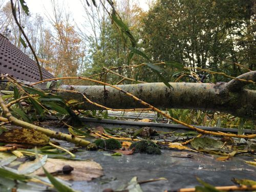 La Sauvagine Terre et Passion®