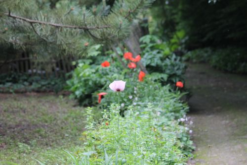 La Sauvagine Terre et Passion®