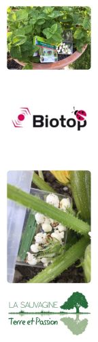 La Sauvagine Terre et Passion®