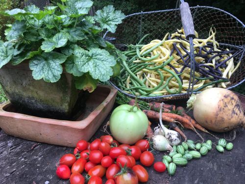 La Sauvagine Terre et Passion®