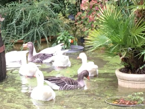 La Sauvagine Terre et Passion®