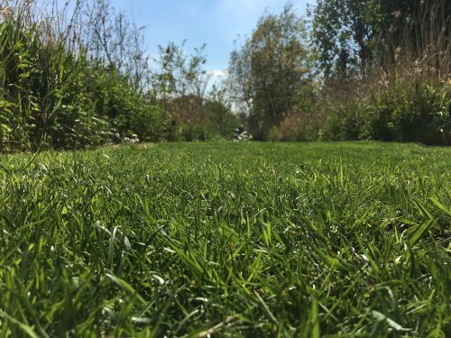 La Sauvagine Terre et Passion®