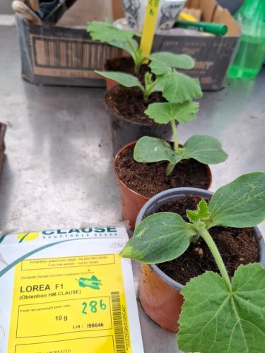 La Sauvagine Terre et Passion®