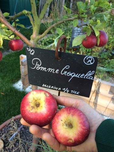 La Sauvagine Terre et Passion®