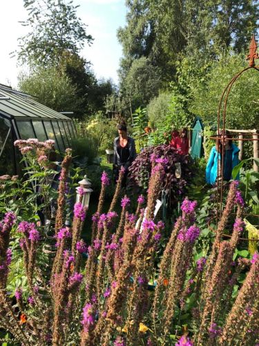 La Sauvagine Terre et Passion®