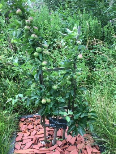 La Sauvagine Terre et Passion®