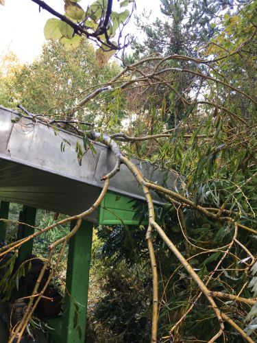 La Sauvagine Terre et Passion®