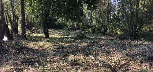 La Sauvagine Terre et Passion®