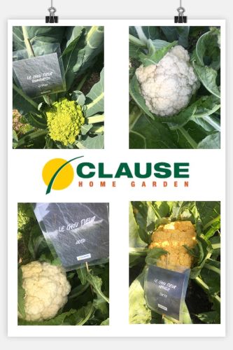 La Sauvagine Terre et Passion®