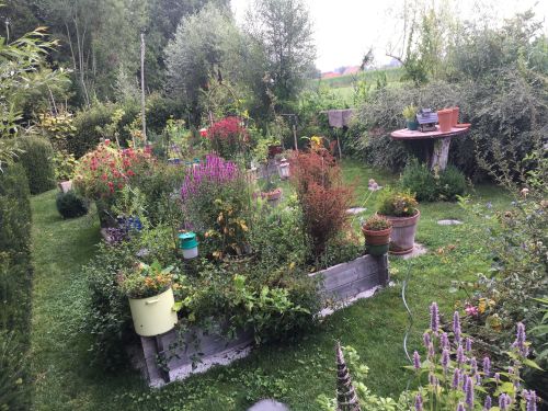 La Sauvagine Terre et Passion®