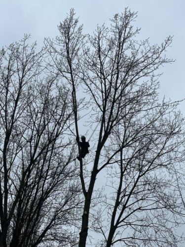 La Sauvagine Terre et Passion®