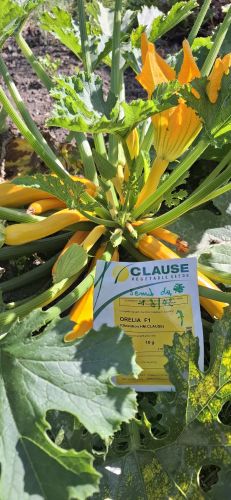 La Sauvagine Terre et Passion®