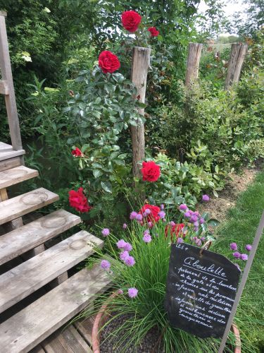 La Sauvagine Terre et Passion®