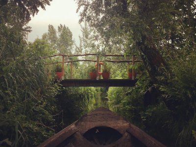 La Sauvagine Terre et Passion®