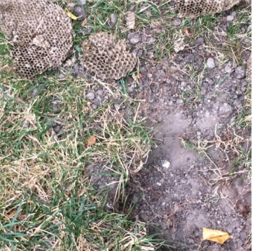 La Sauvagine Terre et Passion®