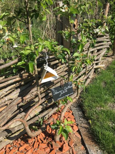 La Sauvagine Terre et Passion®