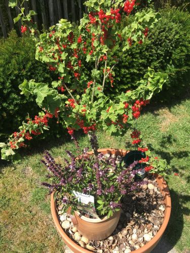 La Sauvagine Terre et Passion®