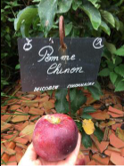 La Sauvagine Terre et Passion®