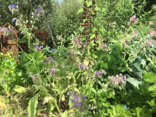 La Sauvagine Terre et Passion®