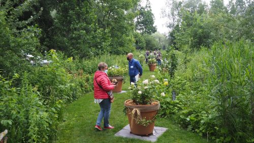 La Sauvagine Terre et Passion®