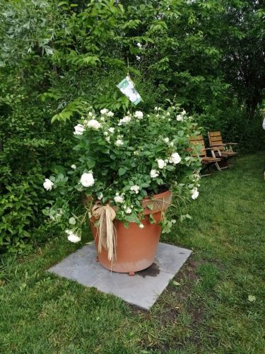 La Sauvagine Terre et Passion®