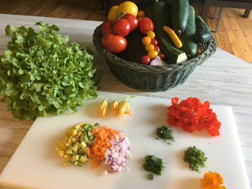 La Sauvagine Terre et Passion®