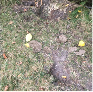 La Sauvagine Terre et Passion®