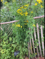 La Sauvagine Terre et Passion®