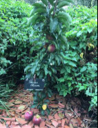 La Sauvagine Terre et Passion®