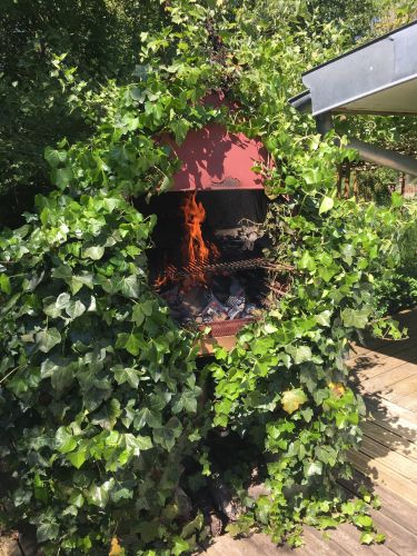 La Sauvagine Terre et Passion®