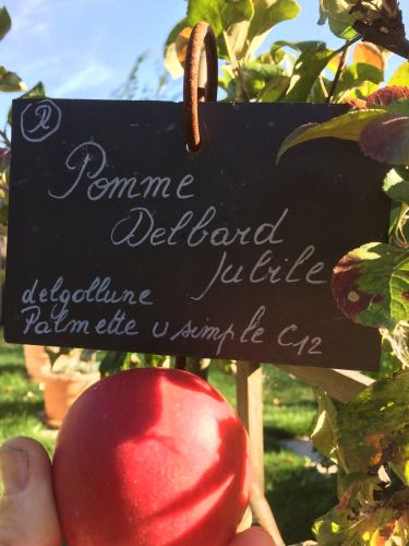 La Sauvagine Terre et Passion®