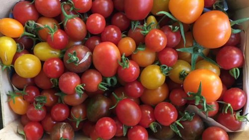 La Sauvagine Terre et Passion®