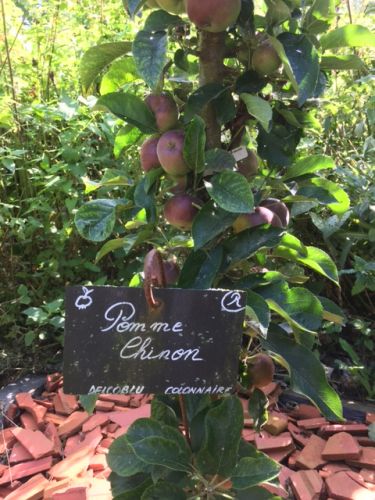 La Sauvagine Terre et Passion®