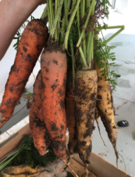 La Sauvagine Terre et Passion®