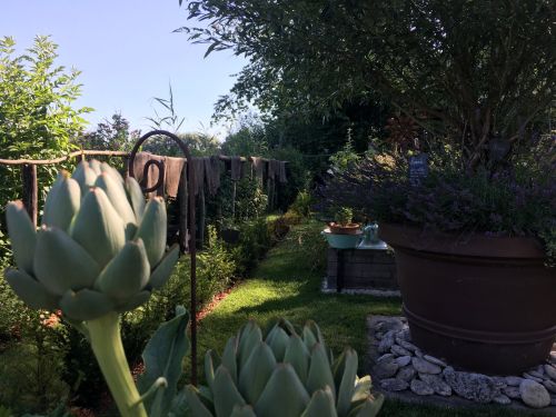 La Sauvagine Terre et Passion®