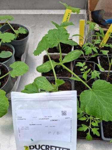 La Sauvagine Terre et Passion®