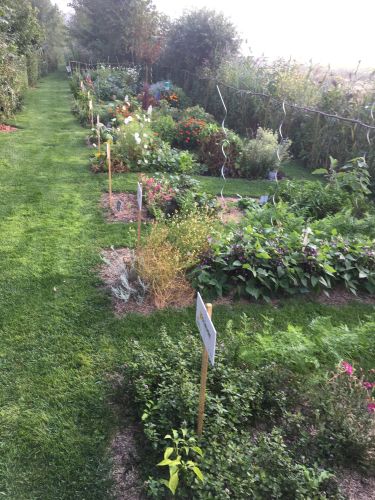 La Sauvagine Terre et Passion®